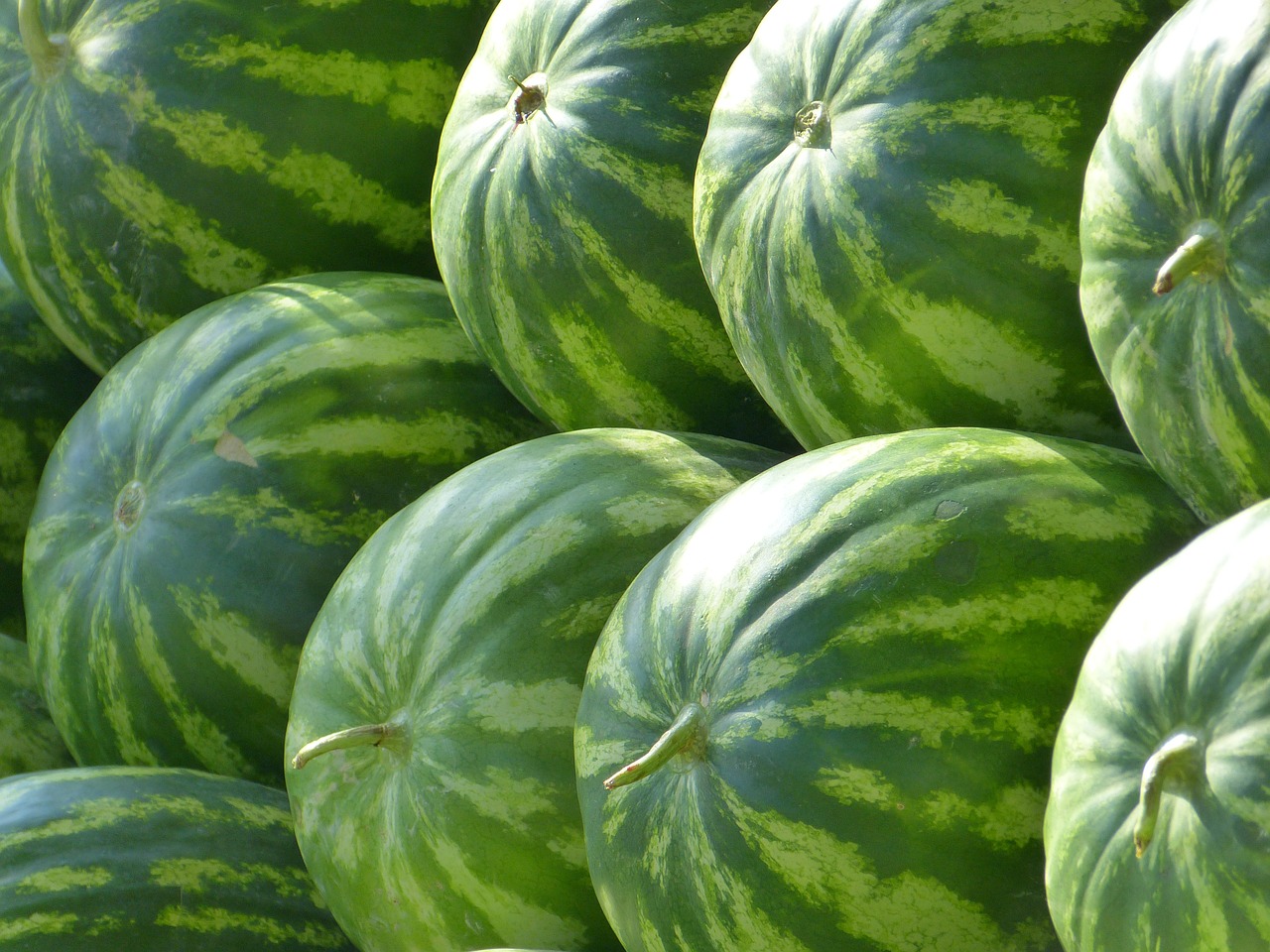 melonen