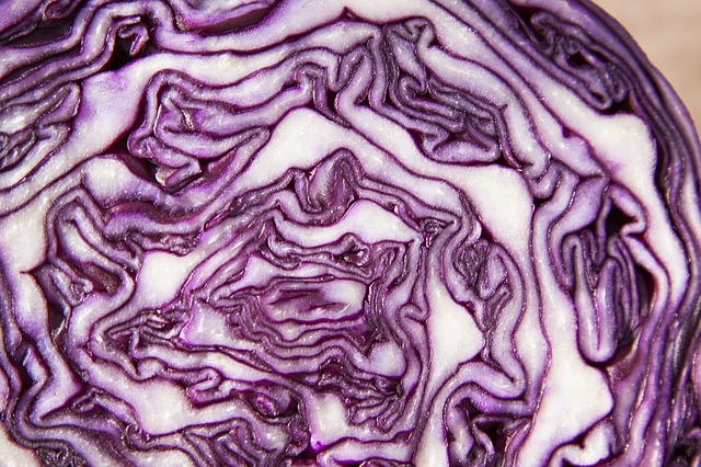 rotkohl